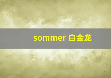 sommer 白金龙